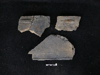 藏品(瓦片)的圖片