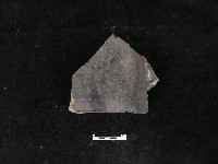 藏品(瓦片)的圖片