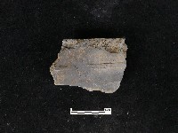 藏品(瓦片)的圖片