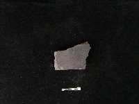 藏品(瓦片)的圖片