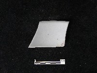 藏品(瓷碗)的圖片