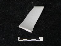 藏品(瓷碗)的圖片