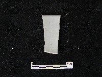 藏品(瓷碗)的圖片