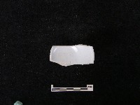 藏品(瓷杯)的圖片