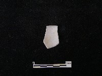 藏品(瓷杯)的圖片