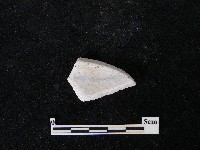 藏品(瓷碗)的圖片