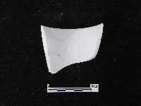 藏品(瓷片)的圖片