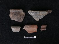 藏品(陶片)的圖片