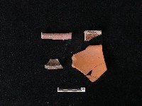 藏品(陶片)的圖片