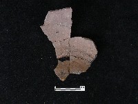 藏品(陶片)的圖片