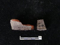 藏品(陶片)的圖片