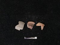 藏品(油燈盤)的圖片