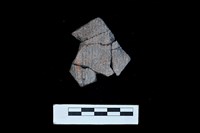 藏品(陶片)的圖片