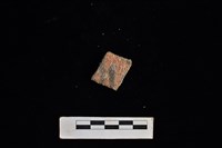 藏品(陶片)的圖片