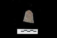 藏品(陶片)的圖片