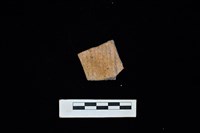 藏品(陶片)的圖片