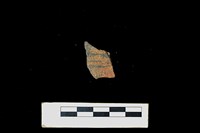 藏品(陶片)的圖片