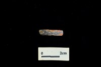 藏品(陶環)的圖片