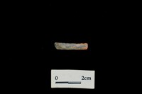 藏品(陶環)的圖片