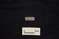 藏品(陶環)的圖片