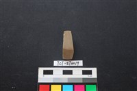 藏品(錛鑿形器)的圖片