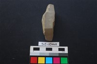 藏品(錛鑿形器)的圖片