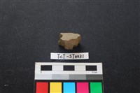 藏品(錛鑿形器)的圖片