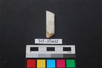 藏品(錛鑿形器)的圖片