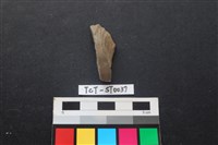 藏品(錛鑿形器)的圖片