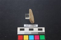 藏品(錛鑿形器)的圖片