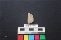 藏品(錛鑿形器)的圖片