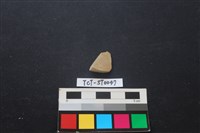 藏品(錛鑿形器)的圖片