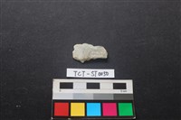 藏品(磨製石器)的圖片