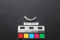 藏品(玉玦)的圖片