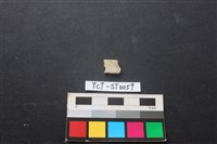 藏品(玉環)的圖片