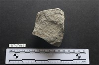 藏品(斧鋤形器)的圖片