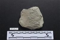 藏品(斧鋤形器)的圖片