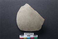 藏品(斧鋤形器)的圖片