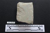 藏品(斧鋤形器)的圖片