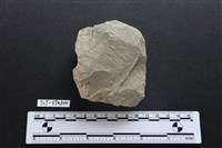 藏品(斧鋤形器)的圖片