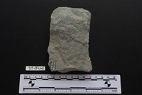 藏品(斧鋤形器)的圖片