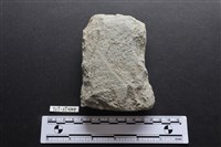 藏品(斧鋤形器)的圖片