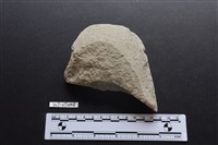 藏品(斧鋤形器)的圖片