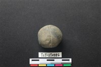 藏品(網墜)的圖片