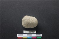 藏品(網墜)的圖片