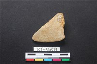 藏品(石刀)的圖片