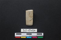 藏品(錛鑿形器)的圖片