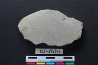 藏品(石片器)的圖片