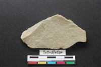 藏品(斧鋤形器)的圖片