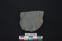 藏品(斧鋤形器)的圖片